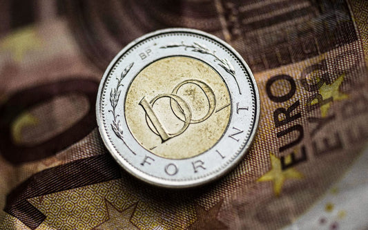 A forint: Magyarország története egyetlen érmén